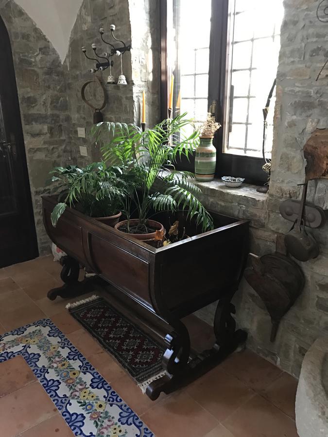 Residenza Le Serre Bed and breakfast Acciaroli