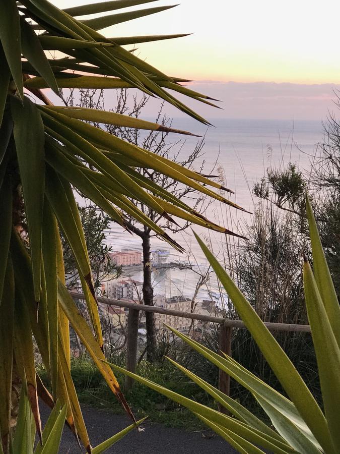 Bed and breakfast Residenza Le Serre *